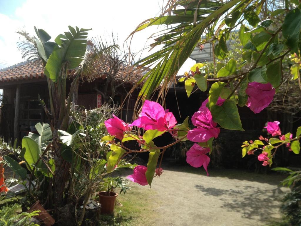 מלון Nakijin No Yado Hibiscus מראה חיצוני תמונה